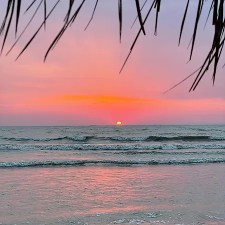 Appartamento Golden Pine Retreat - Beachfront
